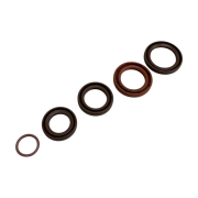 Kit paraoli motore in Viton TC per Lambretta J125 M4 + Lui 75, by Casa performance