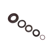 Kit paraoli motore in Viton TC per Lambretta J100 + J125 M3 by Casa performance