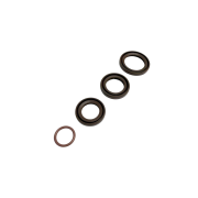 Engine Viton TC Oil Seal Kit for Lambretta J 50 + Lui 50 , by Casa Performance 