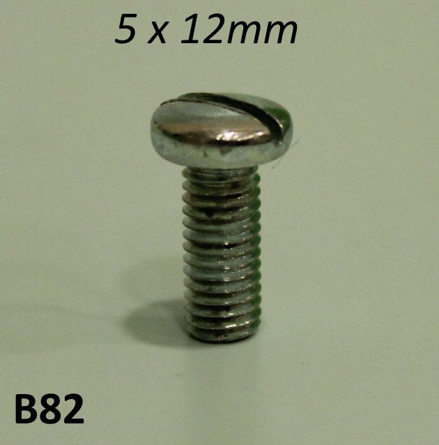 Vite 5 x 12mm testa cilindrica bombata