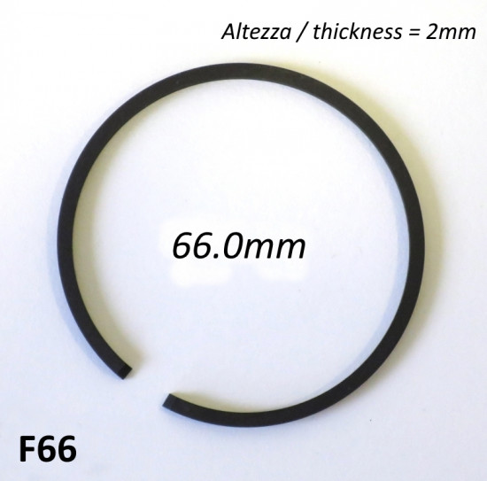 Fascia elastica (segmento) 66.0mm (altezza 2.0mm) tipo originale di alta qualità