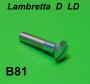 Vite per morsetto supporto leva frizione e freno anteriore Lambretta D + LD (mod. dal 1953)