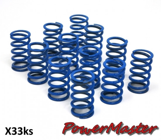 Set of 12 x MEDIUM springs for PowerMaster clutch (all versions)