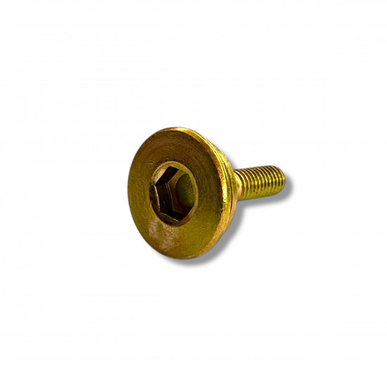 Timing chain guide screw Lambretta V50 V125 V200