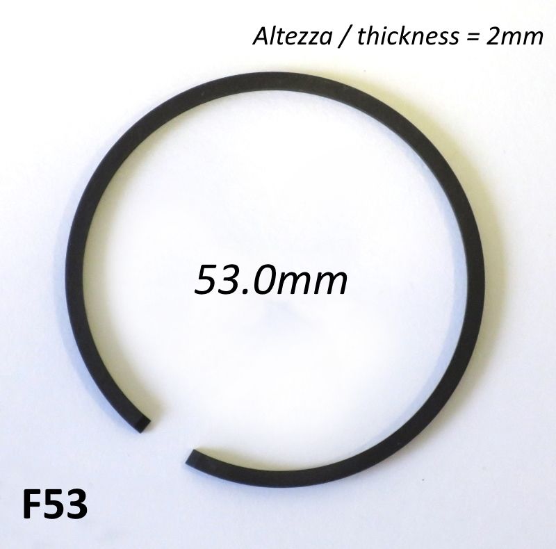 Fascia elastica (segmento) 53.0mm (altezza 2.0mm) tipo originale di alta qualità