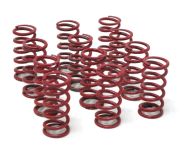 Kit molle rinforzate per frizione Casa Performance PowerMaster
