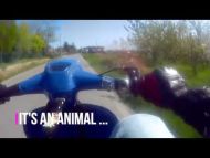 SLUK | 46hp Lambretta SSR250 on the road