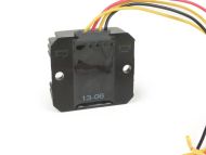 Regolatore di tensione BGM PRO 12V CC Wassell / PODtronic - Universale