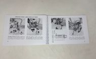 Manuale Officina Lambretta D150 +  LD150 +  LD125 derivata del 1956